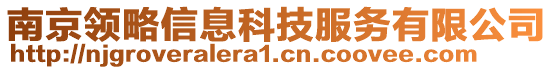 南京領(lǐng)略信息科技服務(wù)有限公司