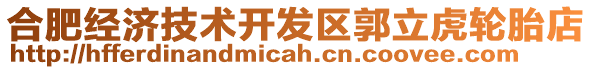 合肥經(jīng)濟(jì)技術(shù)開發(fā)區(qū)郭立虎輪胎店