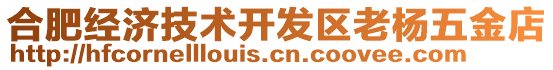 合肥經(jīng)濟(jì)技術(shù)開(kāi)發(fā)區(qū)老楊五金店