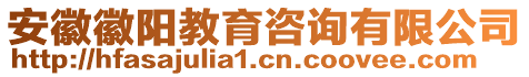 安徽徽陽教育咨詢有限公司