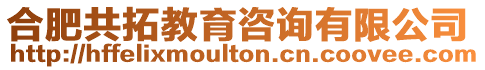 合肥共拓教育咨詢有限公司