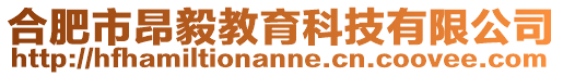 合肥市昂毅教育科技有限公司