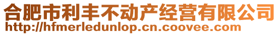 合肥市利豐不動(dòng)產(chǎn)經(jīng)營有限公司