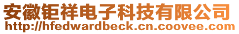 安徽鉅祥電子科技有限公司