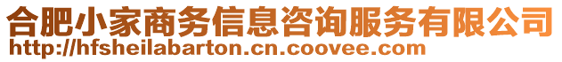 合肥小家商務信息咨詢服務有限公司