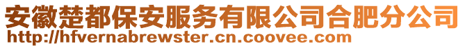 安徽楚都保安服務有限公司合肥分公司
