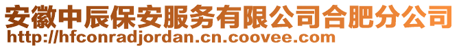 安徽中辰保安服務(wù)有限公司合肥分公司