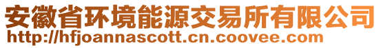 安徽省環(huán)境能源交易所有限公司