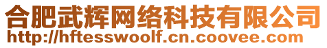 合肥武輝網(wǎng)絡(luò)科技有限公司