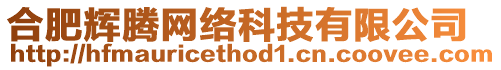 合肥輝騰網(wǎng)絡(luò)科技有限公司