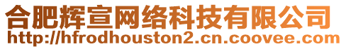 合肥輝宣網(wǎng)絡(luò)科技有限公司