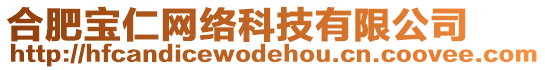 合肥寶仁網(wǎng)絡(luò)科技有限公司