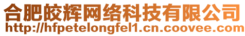 合肥皎輝網(wǎng)絡(luò)科技有限公司