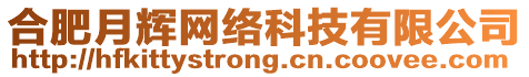 合肥月輝網(wǎng)絡(luò)科技有限公司