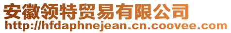 安徽領(lǐng)特貿(mào)易有限公司