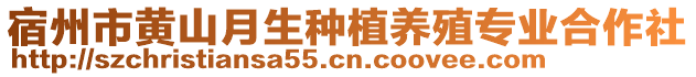 宿州市黃山月生種植養(yǎng)殖專業(yè)合作社