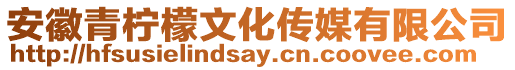 安徽青檸檬文化傳媒有限公司