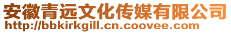 安徽青遠(yuǎn)文化傳媒有限公司