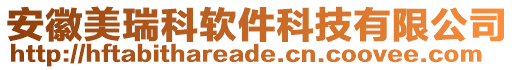 安徽美瑞科軟件科技有限公司