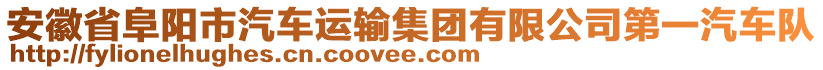 安徽省阜阳市汽车运输集团有限公司第一汽车队