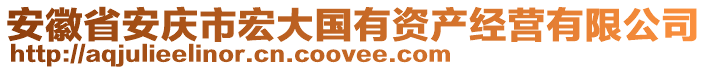 安徽省安慶市宏大國(guó)有資產(chǎn)經(jīng)營(yíng)有限公司