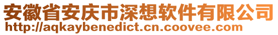 安徽省安慶市深想軟件有限公司