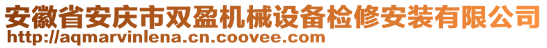 安徽省安慶市雙盈機(jī)械設(shè)備檢修安裝有限公司