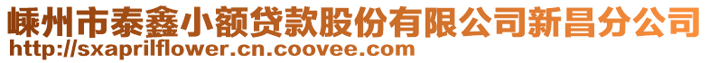 嵊州市泰鑫小額貸款股份有限公司新昌分公司