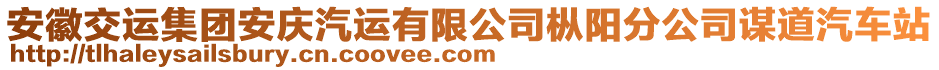 安徽交運(yùn)集團(tuán)安慶汽運(yùn)有限公司樅陽(yáng)分公司謀道汽車(chē)站