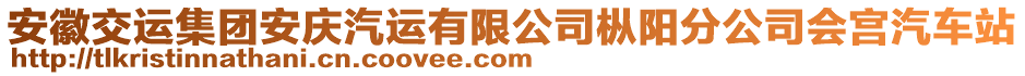 安徽交運集團安慶汽運有限公司樅陽分公司會宮汽車站