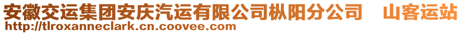 安徽交運(yùn)集團(tuán)安慶汽運(yùn)有限公司樅陽分公司山客運(yùn)站