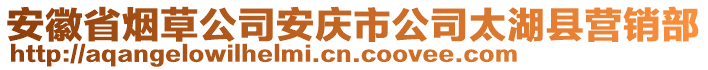 安徽省煙草公司安慶市公司太湖縣營(yíng)銷部