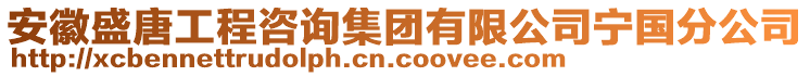 安徽盛唐工程咨詢集團有限公司寧國分公司