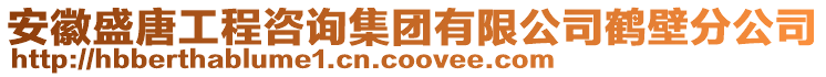 安徽盛唐工程咨詢集團有限公司鶴壁分公司