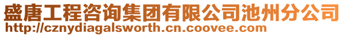 盛唐工程咨詢集團有限公司池州分公司