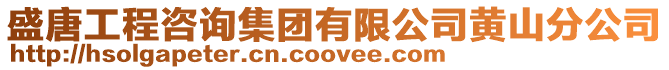 盛唐工程咨詢集團有限公司黃山分公司