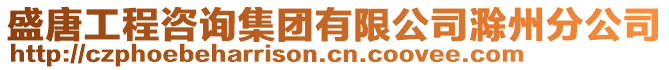 盛唐工程咨詢集團有限公司滁州分公司