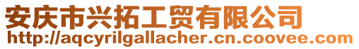 安慶市興拓工貿有限公司