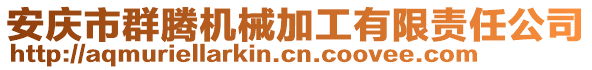 安慶市群騰機(jī)械加工有限責(zé)任公司