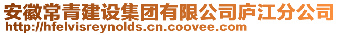 安徽常青建設集團有限公司廬江分公司