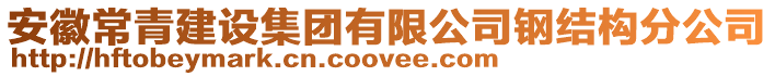 安徽常青建設集團有限公司鋼結構分公司