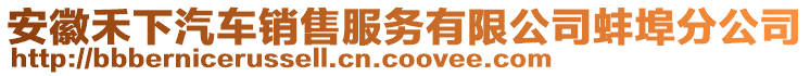 安徽禾下汽車銷售服務(wù)有限公司蚌埠分公司