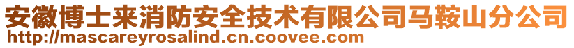 安徽博士來消防安全技術有限公司馬鞍山分公司