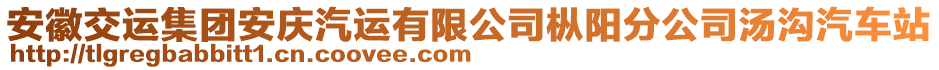 安徽交運集團安慶汽運有限公司樅陽分公司湯溝汽車站