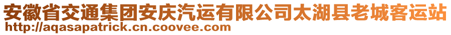 安徽省交通集團安慶汽運有限公司太湖縣老城客運站