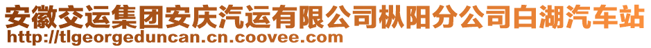 安徽交運集團(tuán)安慶汽運有限公司樅陽分公司白湖汽車站
