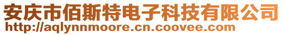 安慶市佰斯特電子科技有限公司