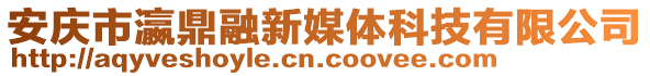 安慶市瀛鼎融新媒體科技有限公司