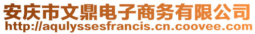 安慶市文鼎電子商務有限公司