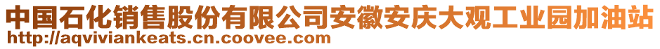 中國(guó)石化銷(xiāo)售股份有限公司安徽安慶大觀(guān)工業(yè)園加油站